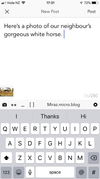 Add a photo in the iOS Micro.Blog app. 