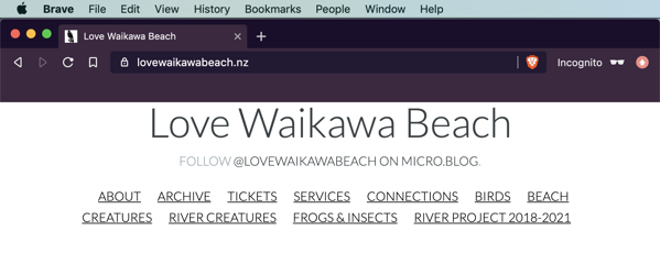 Love Waikawa Beach blog before the banner.