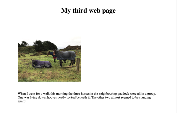 Photo on page before styling.