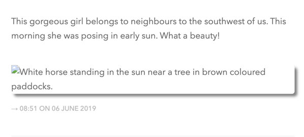 Alt Text is visible because the image is missing.